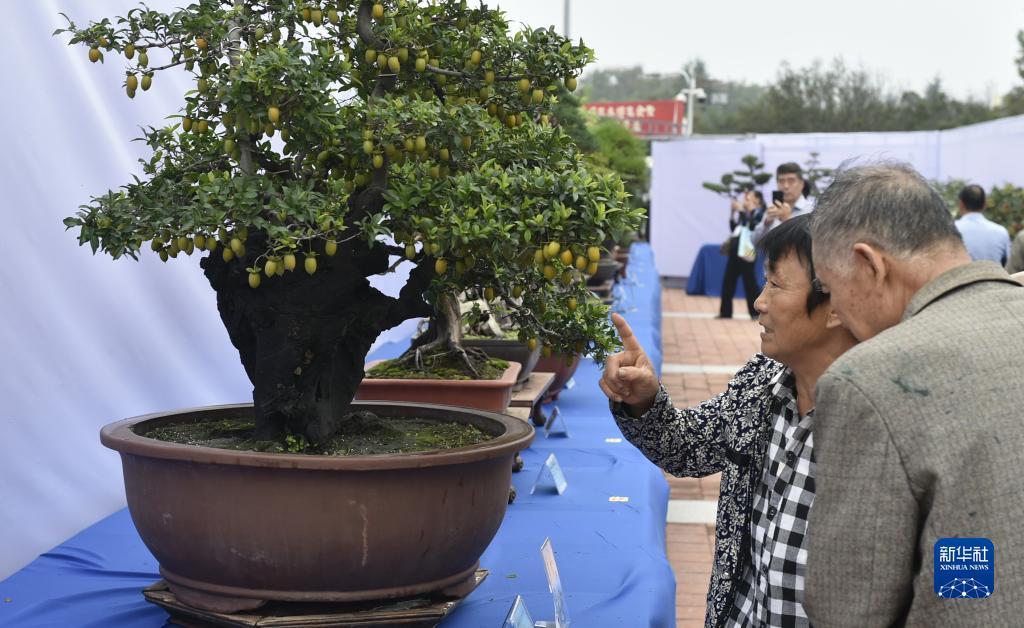 必胜娱乐官网